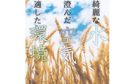 蜥梧ュ悟アア逵檎肇 繧ュ繝後ヲ繧ォ繝ェ 2kg(2025蟷エ逕」) / 逋ス邀ウ 繧ウ繝。 逕」蝨ー逶エ騾 邀ウ 縺薙a 縺秘」ッ 縺斐ッ繧 繧ウ繧キ繝偵き繝ェ 縲尽ml138縲