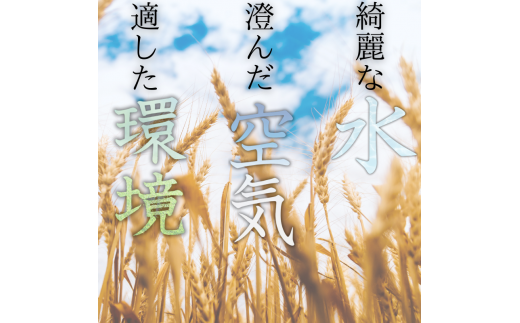 和歌山県産 キヌヒカリ 5kg(2024年産)  産地直送 米 こめ ご飯 ごはん 【sml101A】