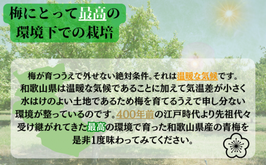 【先行予約】【数量限定】L～2Lサイズおまかせ 和歌山県産 南高青梅 10kg【2025年6月中旬より順次発送致します。】【JAながみね】/ 青梅 梅 南高梅 【jan005】