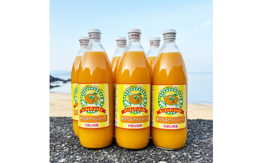 【和歌山県有田産】100%温州みかんジュース (970ml×12本セット)/ジュース みかん  【tss006A】