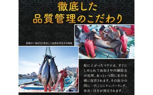 本マグロ（養殖）トロ＆赤身セット 500g 【12月発送】 / 高級 クロマグロ 中トロ 中とろ まぐろ マグロ 鮪 刺身 赤身 柵 じゃばらまぐろ 本マグロ 本鮪【nks110B-12】