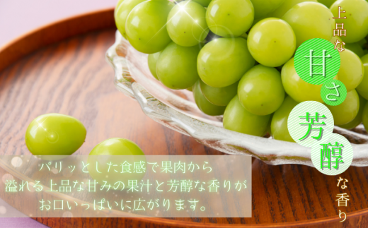 紀州和歌山産 シャインマスカット 約2kg ※2025年8月下旬頃?2025年9月上旬頃に順次発送 ※日付指定不可 ぶどう ブドウ 葡萄 マスカット 果物 くだもの フルーツ 人気 旬の果物【uot798】