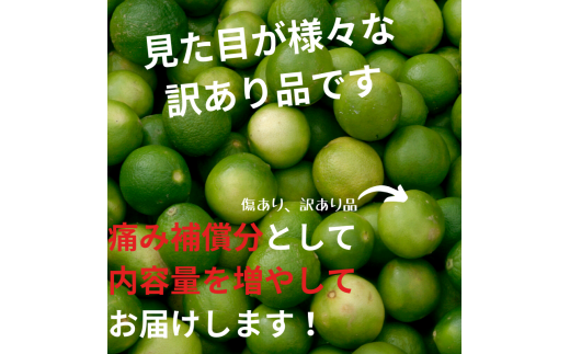 ＜先行予約＞家庭用　黒潮レモン3kg+90g（傷み補償分）【和歌山有田産】【防腐剤・WAX不使用、安心の国産レモン】【わけあり・訳ありレモン】 ※2024年9月上旬頃?2024年4月下旬頃に順次発送【ikd034B】