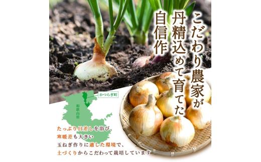 和歌山県産新玉ねぎ約10kg　Lサイズ 約25個入り　こだわり農家厳選！【2026年4月末頃～6月中旬に発送予定】人気 おすすめ たまねぎ 玉ねぎ 玉葱 タマネギ オニオン スープ サラダ 国産 野菜 新鮮 ビッグサイズ 大きい BBQ【kgr033】 