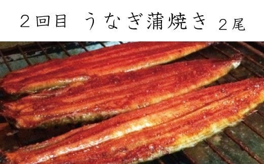 【全3回定期便】和歌山からお届け おさかな定期便　サバ・ウナギ・サケ/魚 魚貝 海鮮 鰻 うなぎ サバ 鯖 鮭 サケ 定期便  【tkb131】