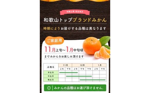 有田育ちのご家庭用完熟 有田みかん 2.2kg ※2024年11月上旬～12月下旬頃に順次発送【ard201】