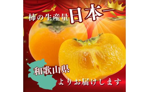 紀ノ川柿  約 2kg 2L~4L(サイズおまかせ) 秀品 / カキ 甘い 美味しい 紀美野町産 ※2026年10月中旬～11月上旬に順次発送【frt504-r-kino-2】