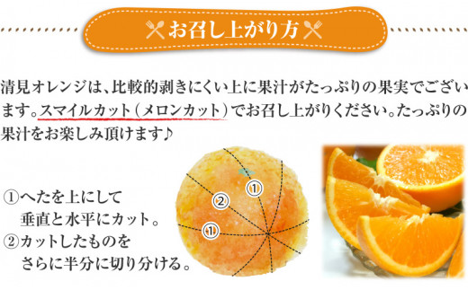  清見オレンジ約5kg / 果実サイズおまかせ ※2025年2月中旬～4月下旬頃発送予定　紀伊国屋文左衛門本舗 / みかん 蜜柑 柑橘 清見オレンジ オレンジ みかん フルーツ 果物 【kmtb400A】