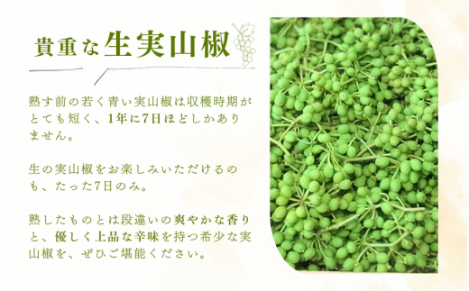 【先行予約・数量限定】 ぶどう生山椒 500g  【2025年5月中旬から5月下旬にお届けいたします】/山椒 さんしょう 生山椒 生さんしょう 調味料 スパイス 香辛料 山椒の実 山椒の実生 実【twn007A】