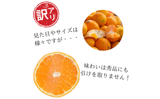 ãèš³ããã蟲家çŽé æç°ã¿ããçŽ5kg ãå®¶åºçš ãµã€ãºæ··å â»2025幎11æäžæ¬ãã2026幎1æäžæ¬ãŸã§ã«é 次çºéäºå®ïŒãå±ãæ¥æå®äžå¯ïŒâ»åæµ·éã»æ²çžã»é¢å³¶ãžã®é
éäžå¯ãèš³ããã¿ãã æž©å·ã¿ãã ãµã€ãºæ··å ææ©è³ªè¥æ100% ãµãããšçŽçš ææ© æç° ç£å°çŽé ãnuk161Eã