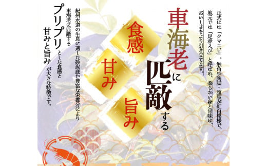  紀州和歌山産天然足赤えび540g×2箱（270g×4パック）化粧箱入 ※2024年11月上旬～2025年2月下旬頃順次発送予定（お届け日指定不可）/ 海老 エビ えび クマエビ 足赤 天然 おかず 【uot773A】