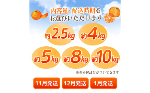 【2024年11月発送予約分】【農家直送】こだわりの有田みかん 約8kg＋250g(傷み補償分)  有機質肥料100%  サイズ混合　【11月発送】/ミカン 蜜柑 柑橘 フルーツ くだもの 果物 温州 有田 【nuk100-1E】