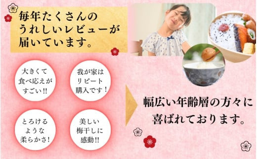 【ご家庭用】最高級紀州南高梅・大粒 食べ比べセット 700g×2　（はちみつ・桃風味）/ 梅干 梅干し 梅 南高梅 大容量 人気 大粒【inm800-3A】