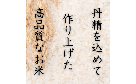 和歌山県産 キヌヒカリ 5kg(2024年産)  産地直送 米 こめ ご飯 ごはん 【sml101A】