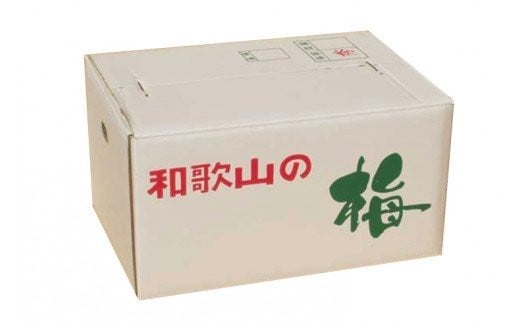 【梅干・梅酒用】（2LまたはL－2Kg）熟南高梅＜2025年6月上旬～7月上旬ごろに順次発送予定＞/梅 フルーツ 梅酒 青梅 生梅 南高梅 完熟  果物 くだもの 食品 人気 おすすめ 送料無料 和歌山【art010A】