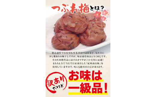 紀州南高梅　＜つぶれ梅＞かつお【ハチミツ入】塩分10%（1.5kg）なかやまさんちの梅干 / うめ ウメ 梅干し【nky014-215k】