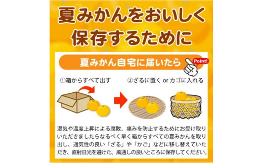 夏みかん 7.2kg　※2025年4月中旬頃～4月下旬頃順次発送（お届け日指定不可）【uot775】