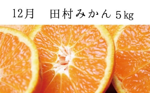 【全3回定期便】秋の味覚 果物定期便　柿・みかん　旬のフルーツを毎月お届け♪/かき 柿 みかん 柑橘 フルーツ 果物 定期便 【tkb130】