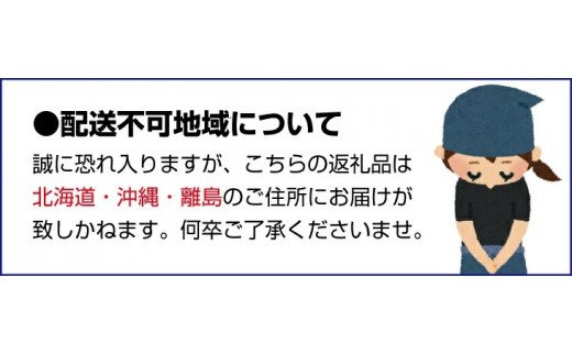 紀州有田みかん 秀品 約10kg(МまたはSサイズ)【sml109A】