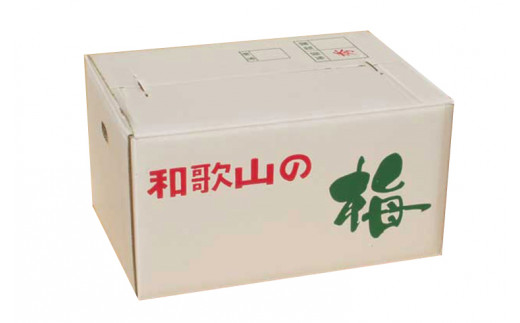 【梅干・梅酒用】（4Lまたは3L－2Kg）熟南高梅＜2025年6月上旬～7月上旬ごろに順次発送予定＞/梅 フルーツ 梅酒 青梅 生青梅 南高梅 完熟 果物 くだもの 食品 人気 おすすめ 送料無料 和歌山 【art006A】