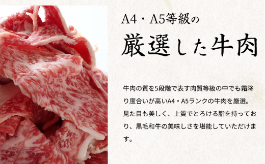  熊野牛A4以上ヒレシャトーブリアンステーキ200g(100g×2枚)＆霜降り赤身こま切れ300g / シャトーブリアン こま切れ 霜降り 赤身 熊野牛 A4 ステーキ 【uot745】