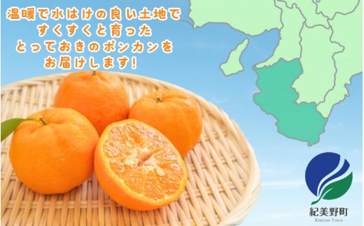 ç§å ãã³ã«ã³ 2kg â»ç®±èŸŒã¿ ãS~2Lã®ãµã€ãºããŸãããã2026幎1æäžæ¬ãã2æäžæ¬é ã«é 次çºéãïŒå³å¥œèŸ²åïŒ/ ãœããã èæ ã¿ãã ææ© æç© ãã«ãŒã ãagy027ã