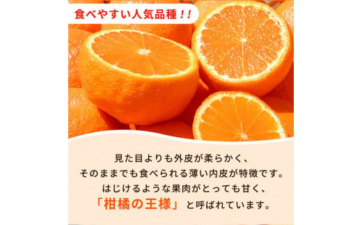 【先行予約】紀州有田産不知火(しらぬひ) 2.5kg　※2025年2月中旬頃～2025年3月中旬頃に順次発送予定（お届け日指定不可）/みかん 不知火 和歌山 フルーツ 有田 果物【uot794】