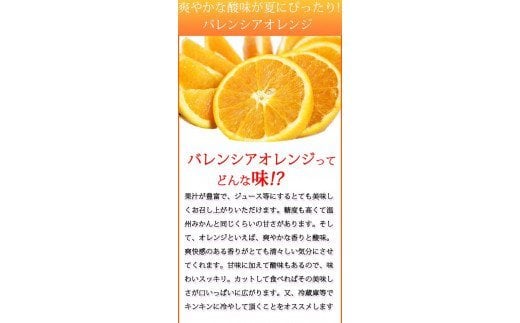  秀品　希少な国産バレンシアオレンジ　2.5kg　※2025年6月下旬頃?2025年7月上旬頃順次発送（お届け日指定不可）/ みかん 蜜柑 フルーツ 果物 くだもの オレンジ バレンシアオレンジ 【uot752】