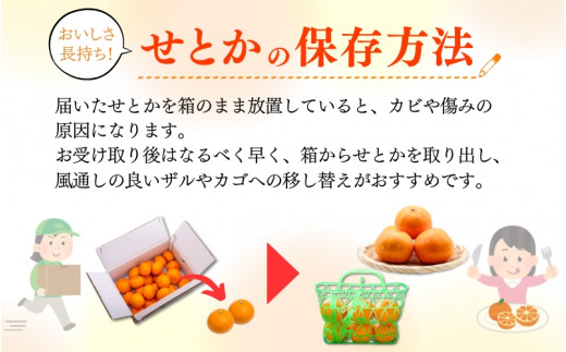  とろける食感！ジューシー柑橘 せとか 約3kg【予約】 ※2025年2月末頃～2025年3月中旬頃発送(お届け日指定不可)/ せとか 果物 フルーツ くだもの みかん 【uot506】