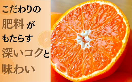  あま～い！ カツオの有機肥料が味の決め手！ 「きみの完熟ミカン」 約2kg (15~25個程度) サイズ混合 2S~M ご家庭用(秀優混合) 紀美野町産 /みかん ミカン 柑橘 和歌山県 有機 手選別 【kmf010】