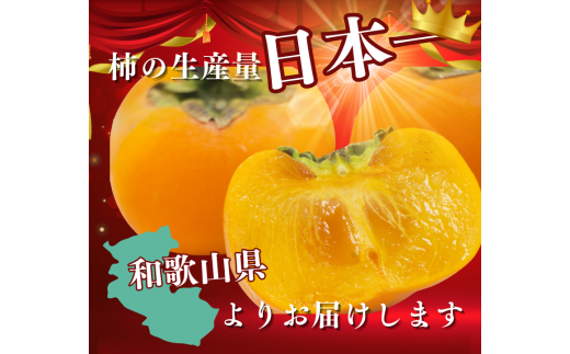 【☆令和7年産☆先行予約】たねなし柿 刀根柿【ご家庭用サイズおまかせ】(約7.5kg以上)【2025年9月下旬～10月上旬に順次発送致します。】/ 和歌山県 紀美野町  種なし カキ 柿 かき 刀根 甘い 美味しい【frt002A】