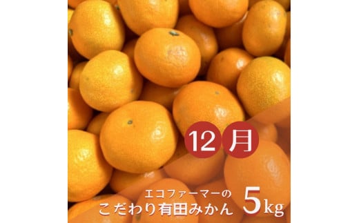 【3か月定期便】みかんの名産地和歌山発！秋のみかん定期便♪ゆら早生みかん・下津みかん・有田みかん / みかんセット 和歌山 柑橘 果物 フルーツ 希少 3回【tkb362】