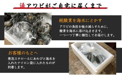 極上！やわコリ食感紀州の蝦夷アワビ 【3個入】  ※北海道・沖縄・離島への配送不可 / 鮑 アワビ あわび 人気 活アワビ 冷蔵【riz103】