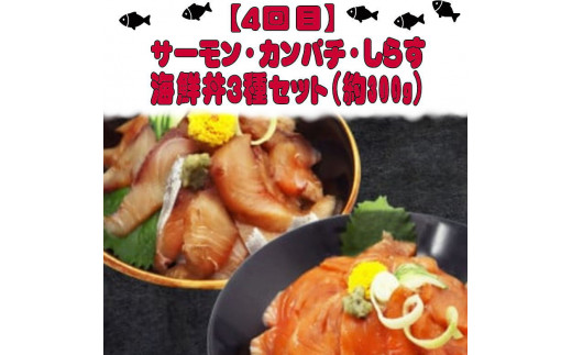 【全4回】魚鶴一押し！人気のお魚集合定期便（さば・銀鮭・うなぎ・海鮮丼）【tkb308】