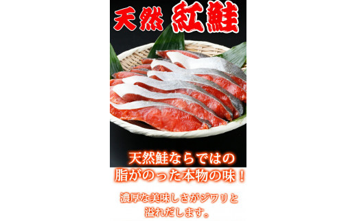  【天然鮭使用】大ボリューム！こだわり仕込の天然紅サケ切身 約1kg / 鮭 サケ 切り身 冷凍 おかず 人気 【uot715-2】