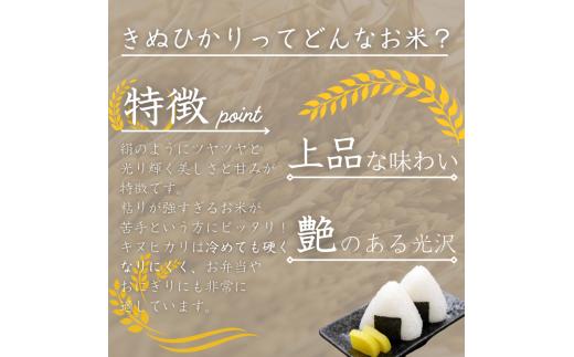 蜥梧ュ悟アア逵檎肇 繧ュ繝後ヲ繧ォ繝ェ 2kg(2025蟷エ逕」) / 逋ス邀ウ 繧ウ繝。 逕」蝨ー逶エ騾 邀ウ 縺薙a 縺秘」ッ 縺斐ッ繧 繧ウ繧キ繝偵き繝ェ 縲尽ml138縲