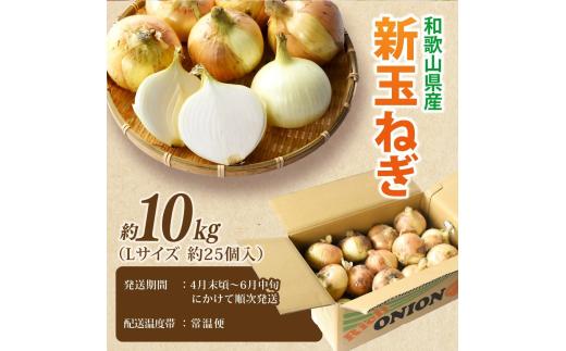 和歌山県産新玉ねぎ約10kg　Lサイズ 約25個入り　こだわり農家厳選！【2026年4月末頃～6月中旬に発送予定】人気 おすすめ たまねぎ 玉ねぎ 玉葱 タマネギ オニオン スープ サラダ 国産 野菜 新鮮 ビッグサイズ 大きい BBQ【kgr033】 