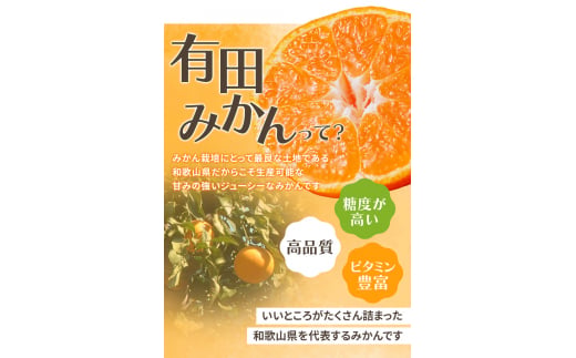 【2027年1月発送予約分】＼光センサー選別／ 【農家直送】【家庭用】こだわりの有田みかん 5kg＋150g(傷み補償分) 先行予約 有機質肥料100% サイズ混合 【1月発送】 ※北海道・沖縄・離島配送不可/みかん ミカン 有田みかん 温州みかん 柑橘 有田 和歌山 産地直送【nuk004-c-5-janI】