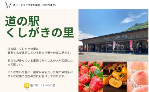 【予約受付】桃の王様【予約受付】こだわり農家厳選 川中島白桃 和歌山産の桃 <大玉特秀品> 約2kg（6個~9個） 2025年8月初旬頃～2025年8月末頃に順次発送予定（お届け日指定不可）/ 桃 もも 川中島 白桃 フルーツ 果物 くだもの 【kgr011】