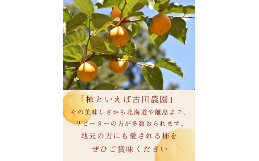 【☆令和7年産☆先行予約】たねなし柿 刀根柿【ご家庭用サイズおまかせ】(約7.5kg以上)【2025年9月下旬～10月上旬に順次発送致します。】/ 和歌山県 紀美野町  種なし カキ 柿 かき 刀根 甘い 美味しい【frt002A】