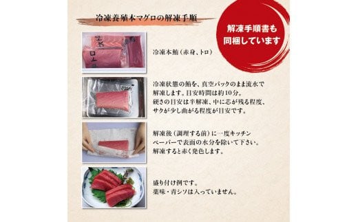 本マグロ（養殖）トロ＆赤身セット 500g 【12月発送】 / 高級 クロマグロ 中トロ 中とろ まぐろ マグロ 鮪 刺身 赤身 柵 じゃばらまぐろ 本マグロ 本鮪【nks110B-12】