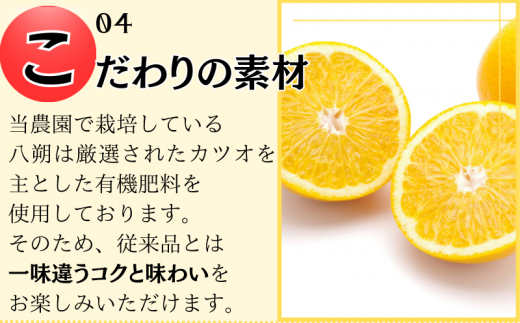  きみの八朔ジュース 180mL×6本 / 果汁 ジュース 八朔ジュース オレンジジュース  ドリンク セット 有機 無添加 100% 【kmf006】