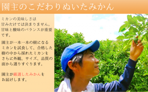  あま～い！ カツオの有機肥料が味の決め手！ 「きみの完熟ミカン」 約2kg (15~25個程度) サイズ混合 2S~M ご家庭用(秀優混合) 紀美野町産 /みかん ミカン 柑橘 和歌山県 有機 手選別 【kmf010】