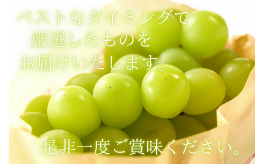 ã¯ã€ã³ããŒã çŽ500g (1æ¿ïœ2æ¿) ç§å / ã¶ã©ã ã®ãã èŽç æ¬ ãã«ãŒã æç© åæå±± çŽçŸéçºç£ â»2026幎9æäžæ¬ïœ10æäžæ¬ã«é 次çºéãfrt502-r-0d5ã