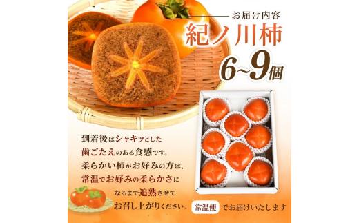 先行予約！ 紀の川柿 （果実の中身が黒い！黒蜜柿）希少栽培！ 秀品６個～９個 こだわり農家厳選！【※2026年10月上旬から11月上旬頃発送】/ 和歌山県 かつらぎ町 カキ 柿 太秋柿 紀ノ川柿 富有柿 早秋柿 秀品 紀の川柿 かき フルーツ 旬 秋【kgr044】 