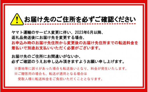 【先行予約】 ＼ みかんの名産地 和歌山県産／ 農家直送 大玉 有田みかん 10kg （2L～3L） ひとつひとつ手選別で厳選【2024年11月下旬頃発送予定】/【hdm001-2】