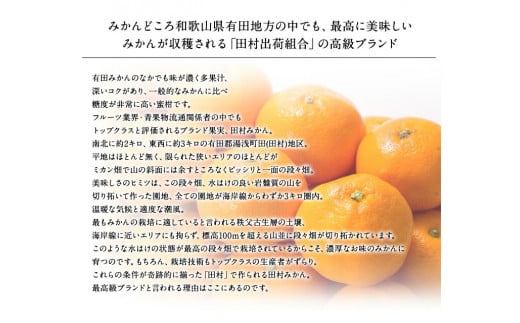  田村みかん 5kg 秀品【大玉サイズ】紀州和歌山有田郡湯浅町田村地区産 ◆2024年11月下旬～2025年1月中旬頃に発送(お届け日指定不可)　紀伊国屋文左衛門本舗 / 田村みかん みかん 蜜柑 柑橘 果物 フルーツ 【kmtb305A】