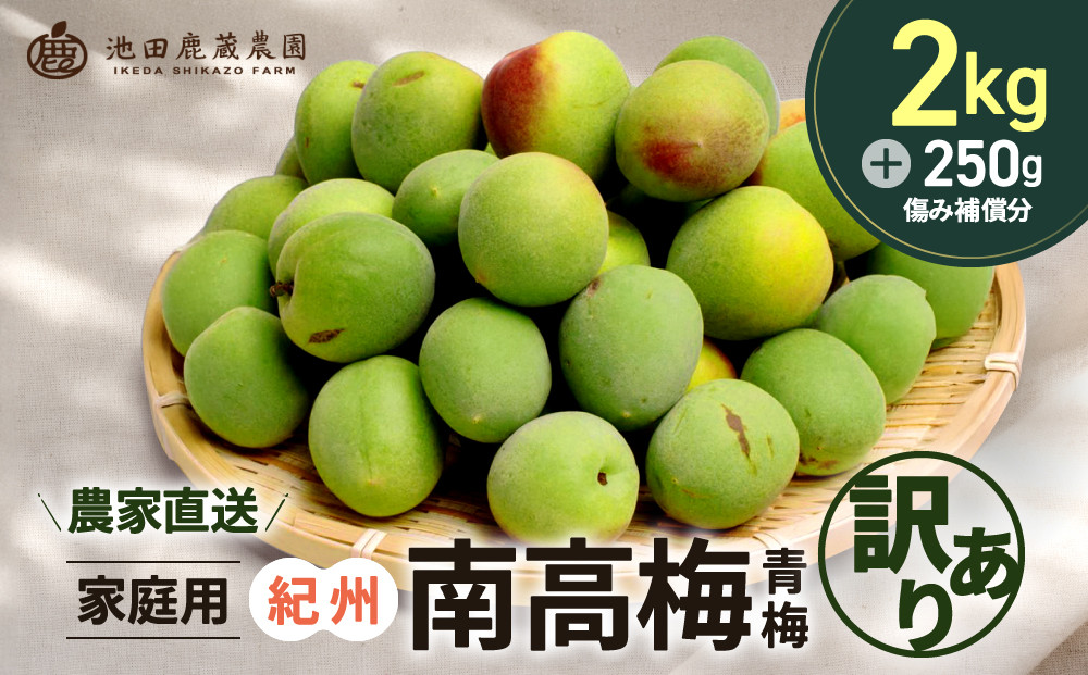 家庭用 紀州南高梅(青梅)2kg+250g（傷み補償分）【梅干し・梅酒・梅ジュース】【訳あり】［IKE111］