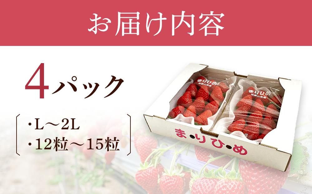 まりひめイチゴ L～2L 12粒～15粒×4パック［2027年1月中旬から発送］［先行販売］［KG8］