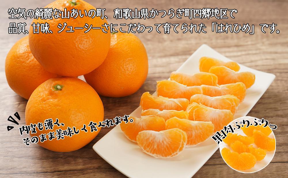 縺ッ繧後イ繧シ医Α繧ォ繝ウ縺ョ蟶悟ー醍ィョシ 遘蜩 邏5ス具スシ25蛟具ス30蛟句・シ会シサ蜈郁。御コ育エシスシサ2026蟷エ12譛井クュ譌ャ鬆縺九i逋コ騾シスシサKG3シス